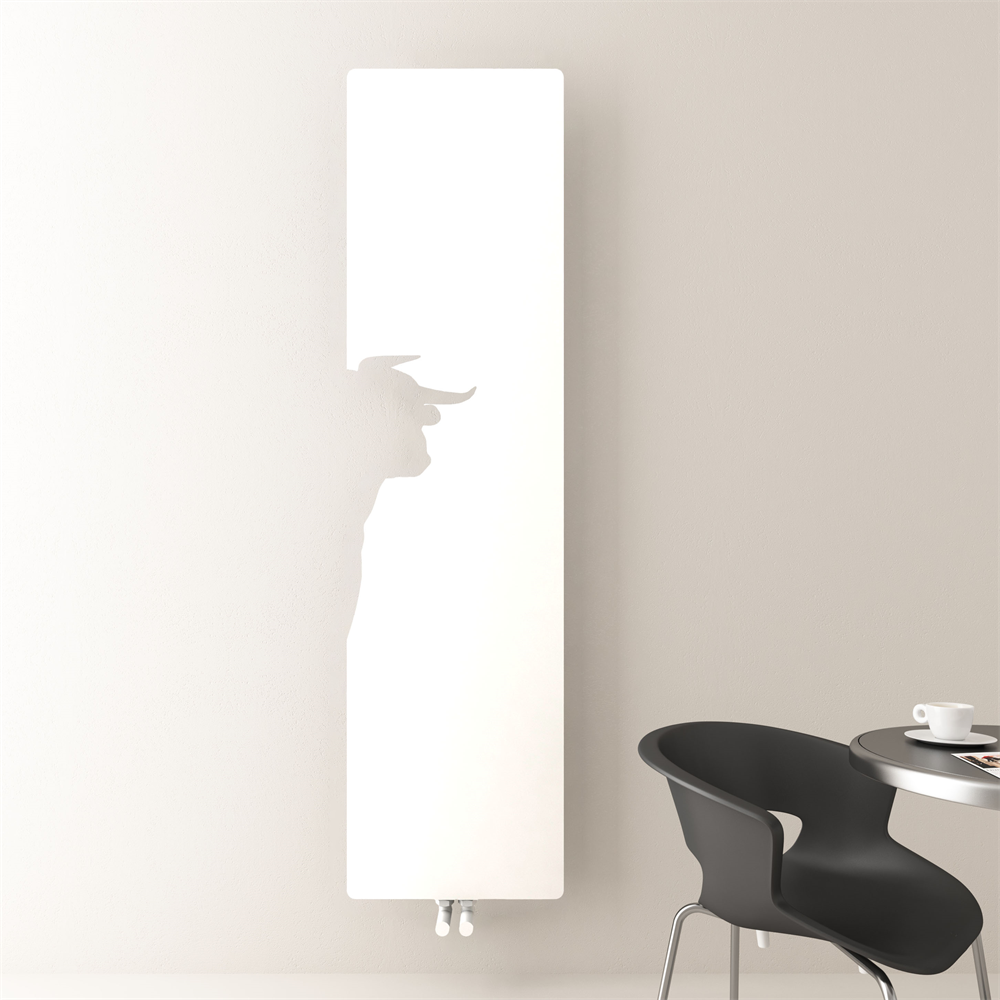 Carisa Lymm Steel Flat Panel Radiator