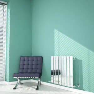 Carisa Anika Designer Radiator