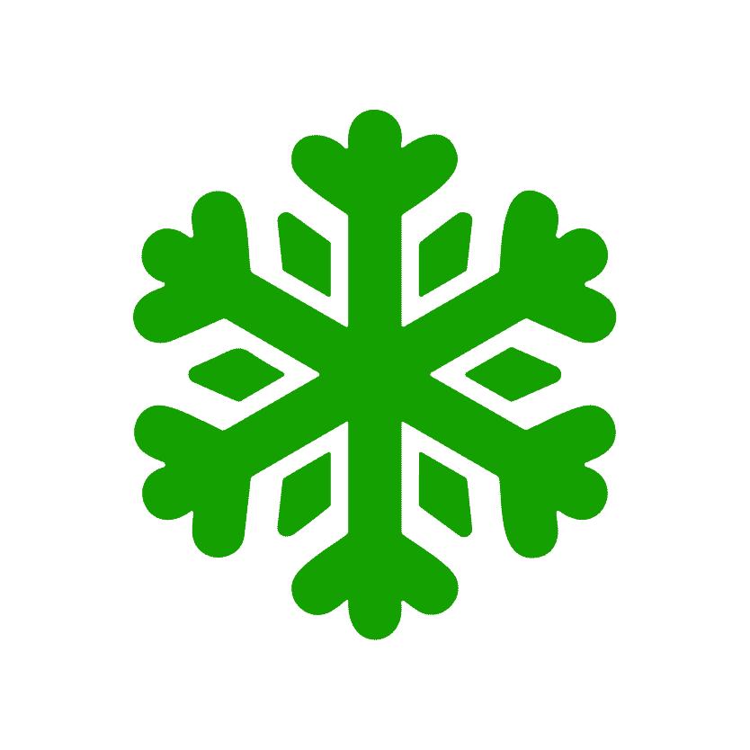 Green snowflake icon representing winter holiday themes.