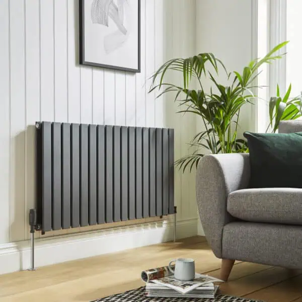 Modern black radiator in stylish living room, with cozy gray sofa and green houseplant.